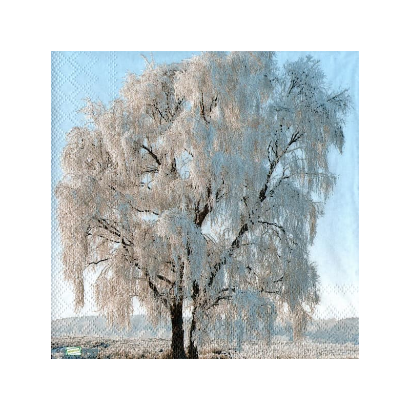 1serviette Paysage Enneigé-69