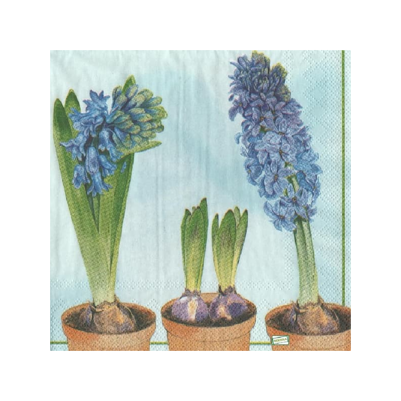 1 serviette Les jacinthes -4