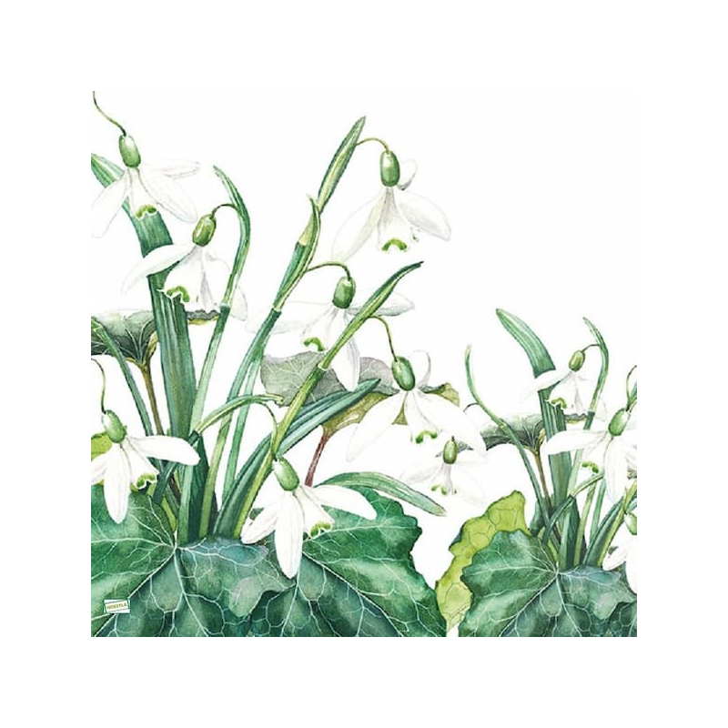 1serviette Les perce neige-29