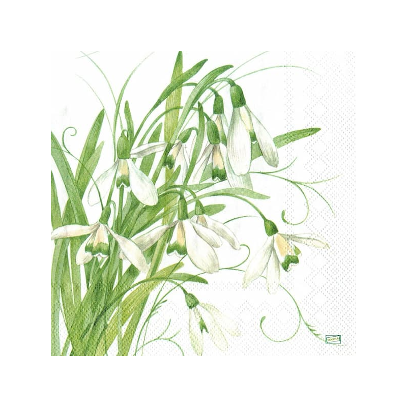 1 serviette Les perce neige -31