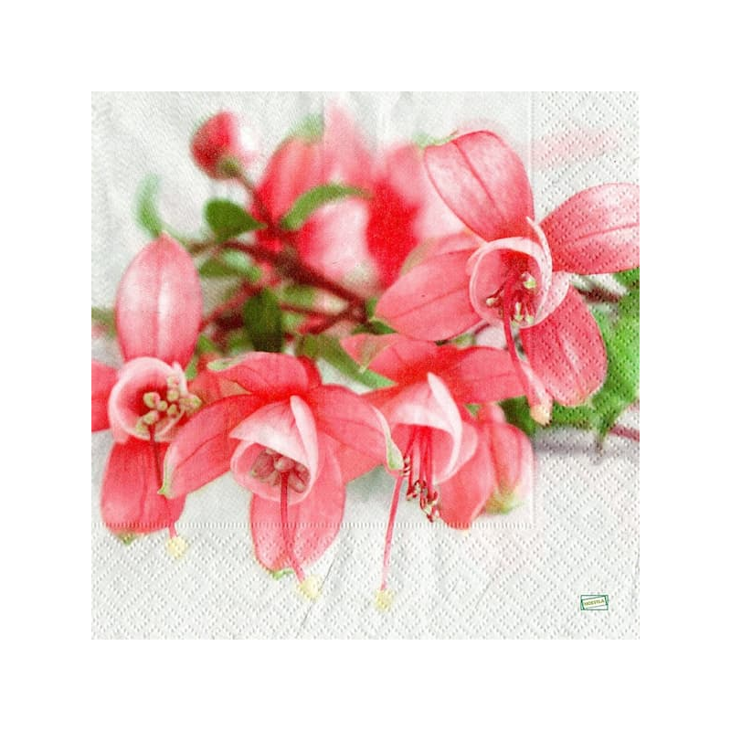 1 serviette Les Fuschias -37