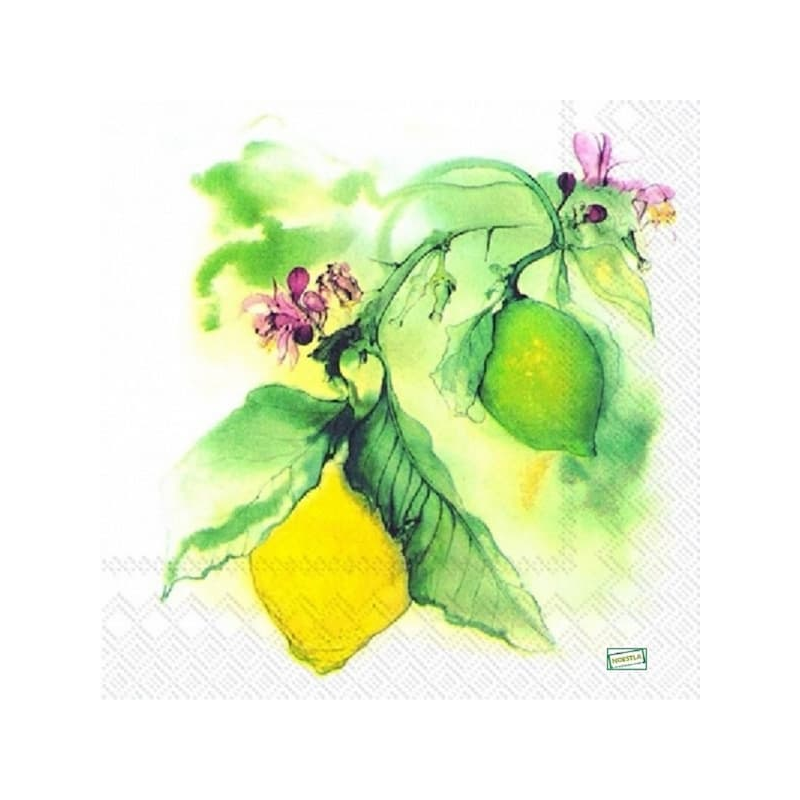 1serviette papier Citrons-2