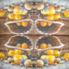 1serviette papier Oranges-3