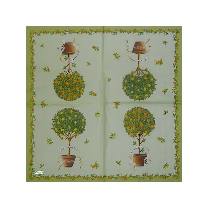 1serviette papier Oranges-5