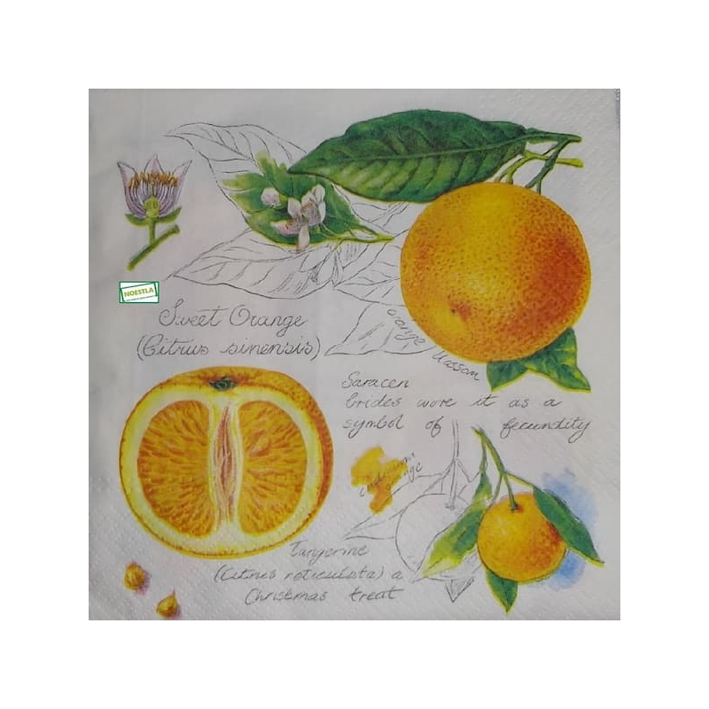 1serviette papier Oranges-7