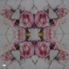 1serviette papier Les Roses-73