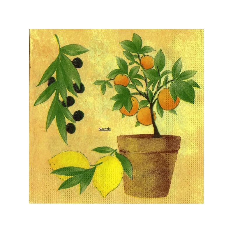 1serviette papier Oranges-12