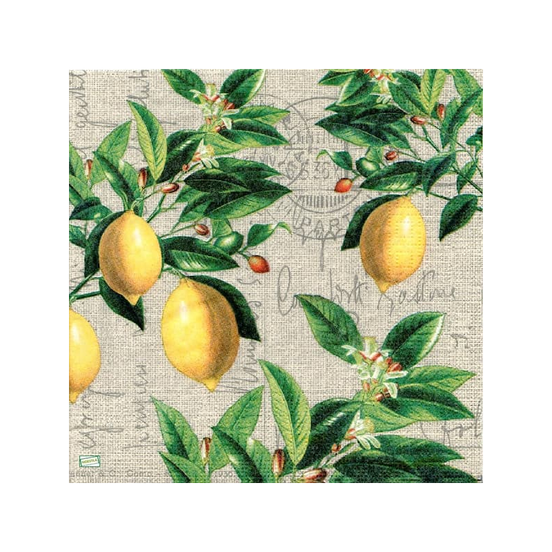 1serviette papier Citrons-13