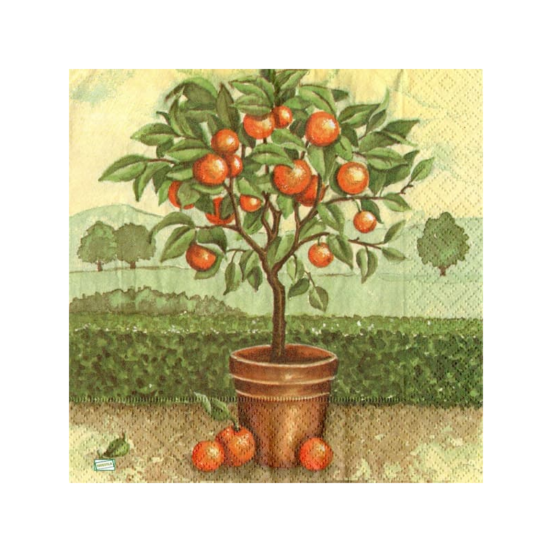 1serviette papier Oranges-16