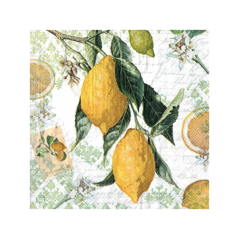 1serviette papier Citrons-24