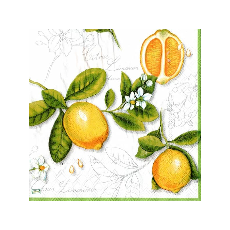 1serviette papier Citrons-26