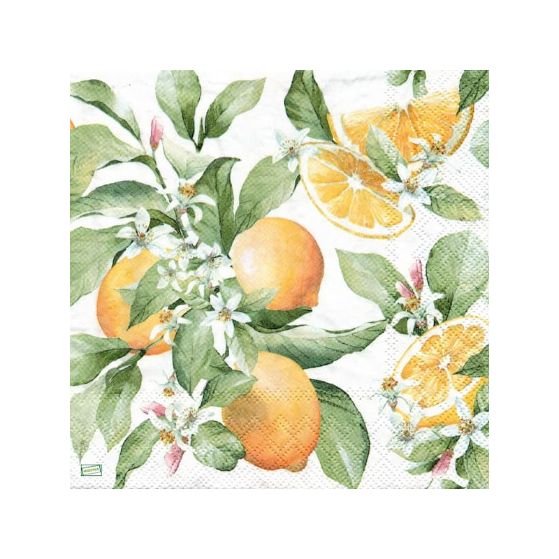 1serviette papier Citrons-34