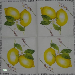 1serviette papier Citrons-43
