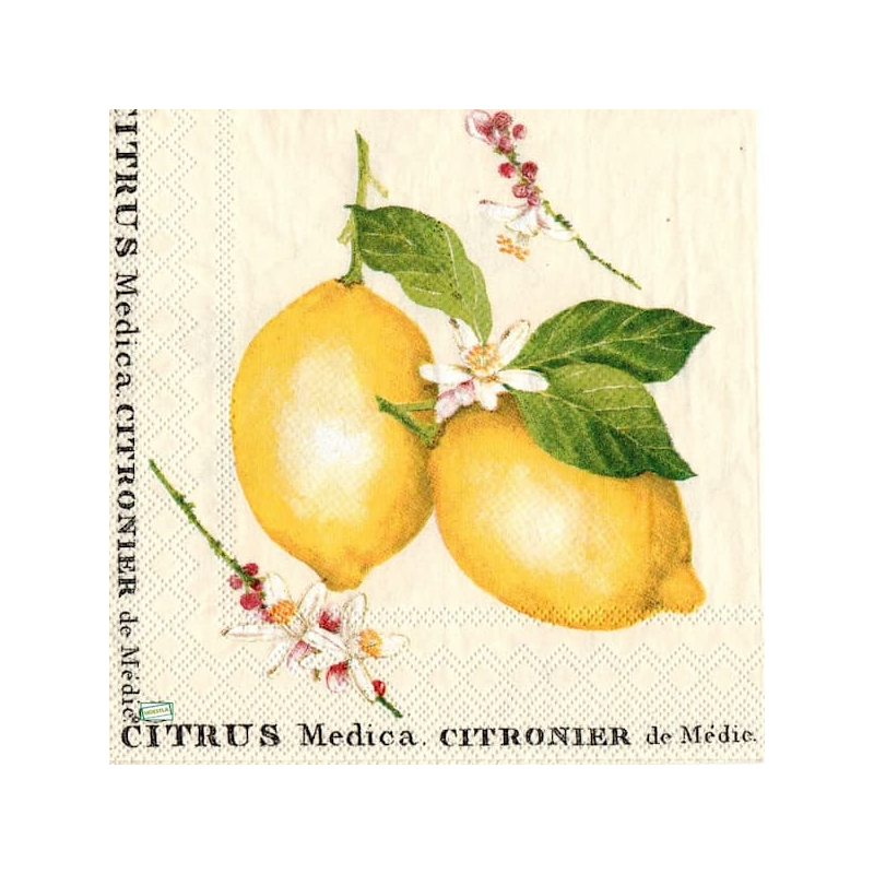 1serviette papier Citrons-43