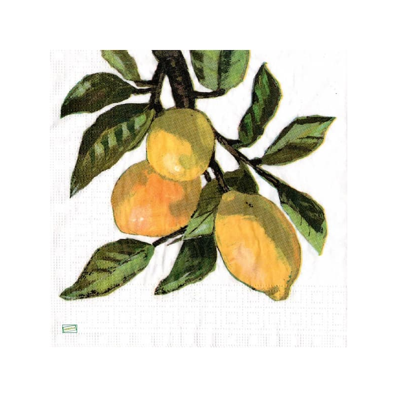 1serviette papier Citrons-49