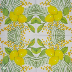 1serviette papier Citrons-54