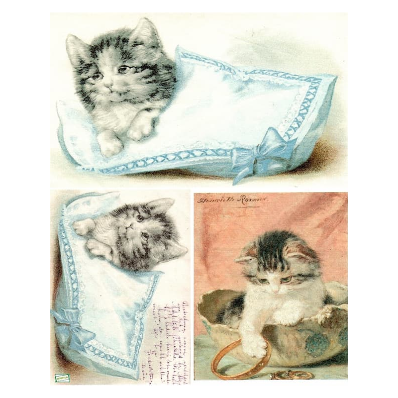 1 papier de riz Chats -BMET1