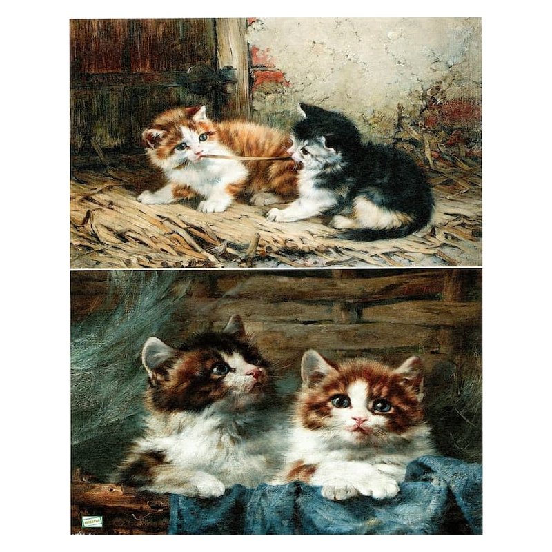 1 papier de riz Chats - BMET3