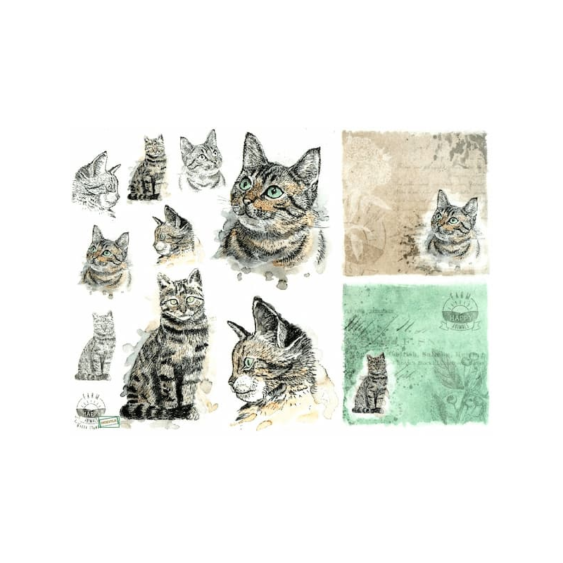 1 papier de riz Chats -R1565