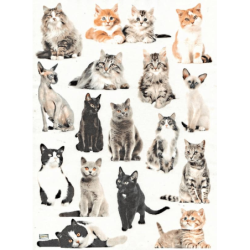1 papier de riz Chats -R2146