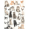 1 papier de riz Chats -R2146