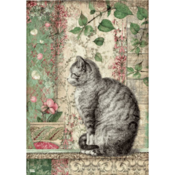 1 papier de riz Chats -STA1