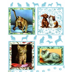 1papier riz Chats-ZAN71G