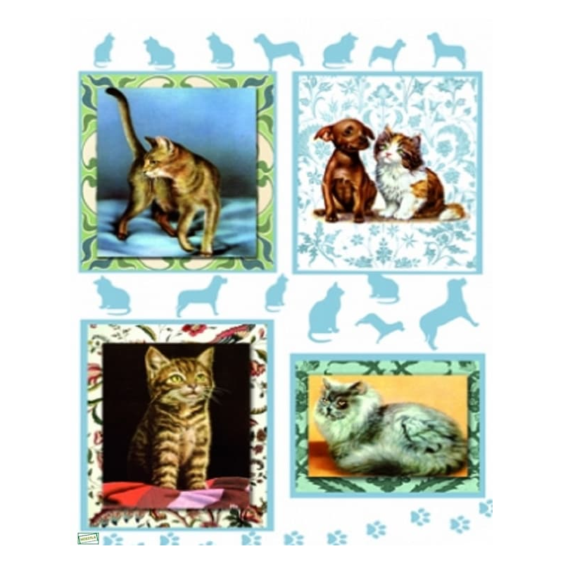 1papier riz Chats-ZAN71G