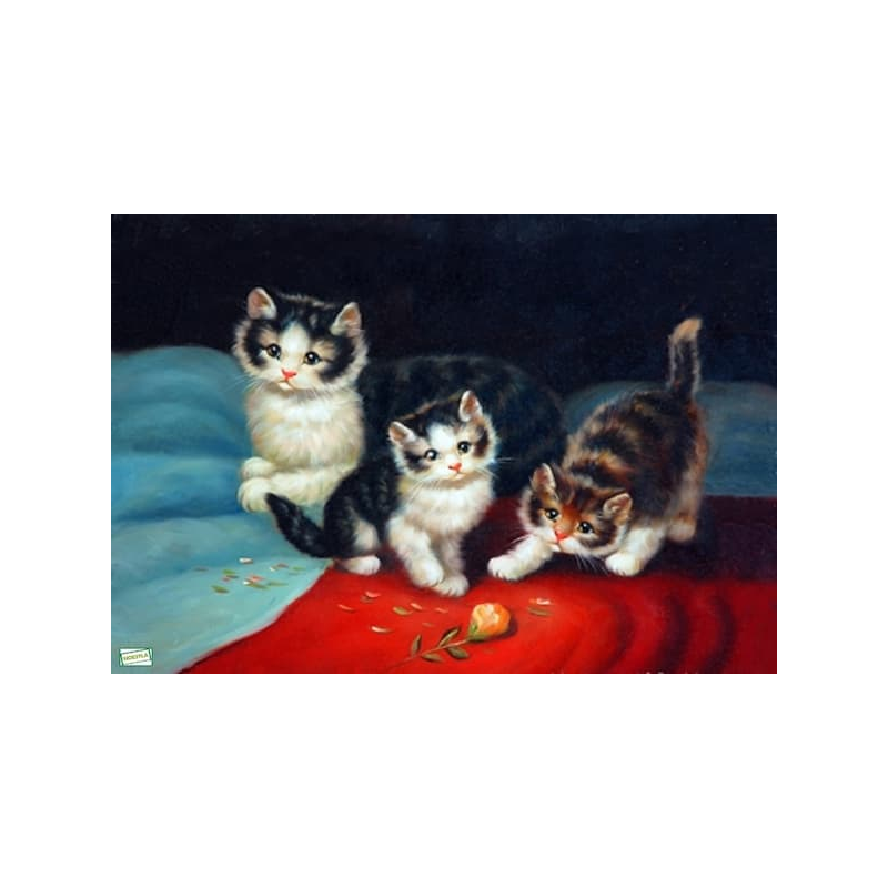 1papier riz Chats-ZAN144G