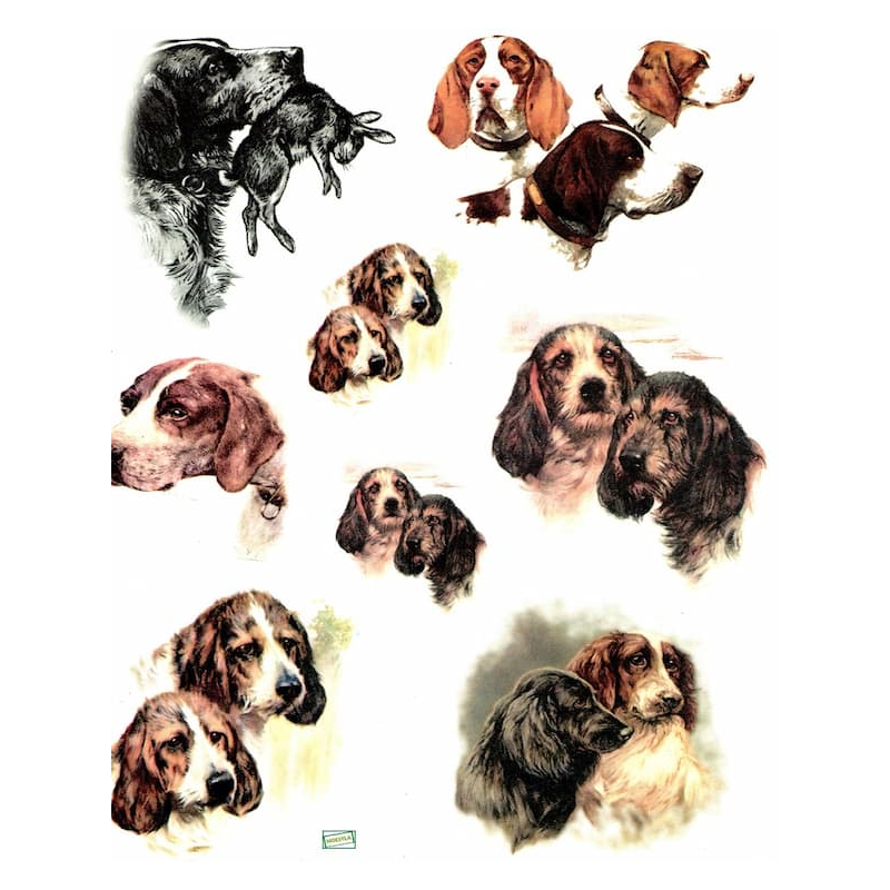 1 papier de riz Chiens -R229