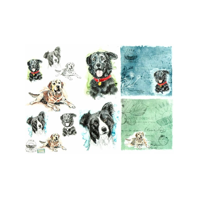 1 papier de riz Chiens -R1563