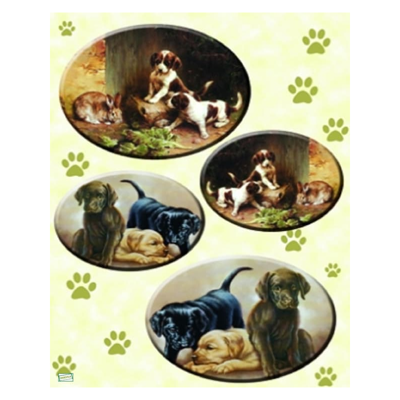 1papier riz Chiens-ZAN34G