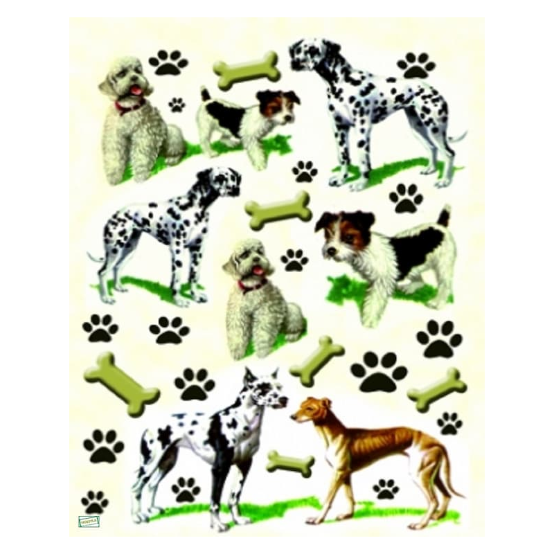 1papier riz Chiens-ZAN65G