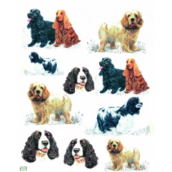 1papier riz Chiens -ZAN95G