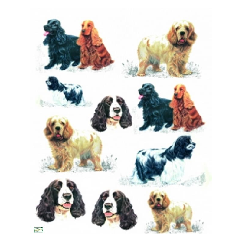 1papier riz Chiens -ZAN95G