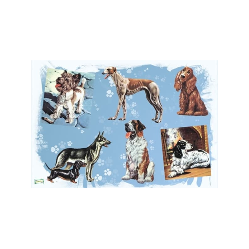 1papier riz Chiens-ZAN271G