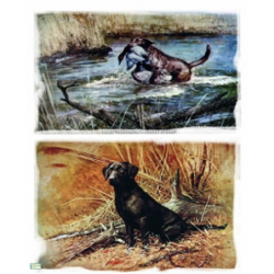 1papier riz Chiens-ZV175G