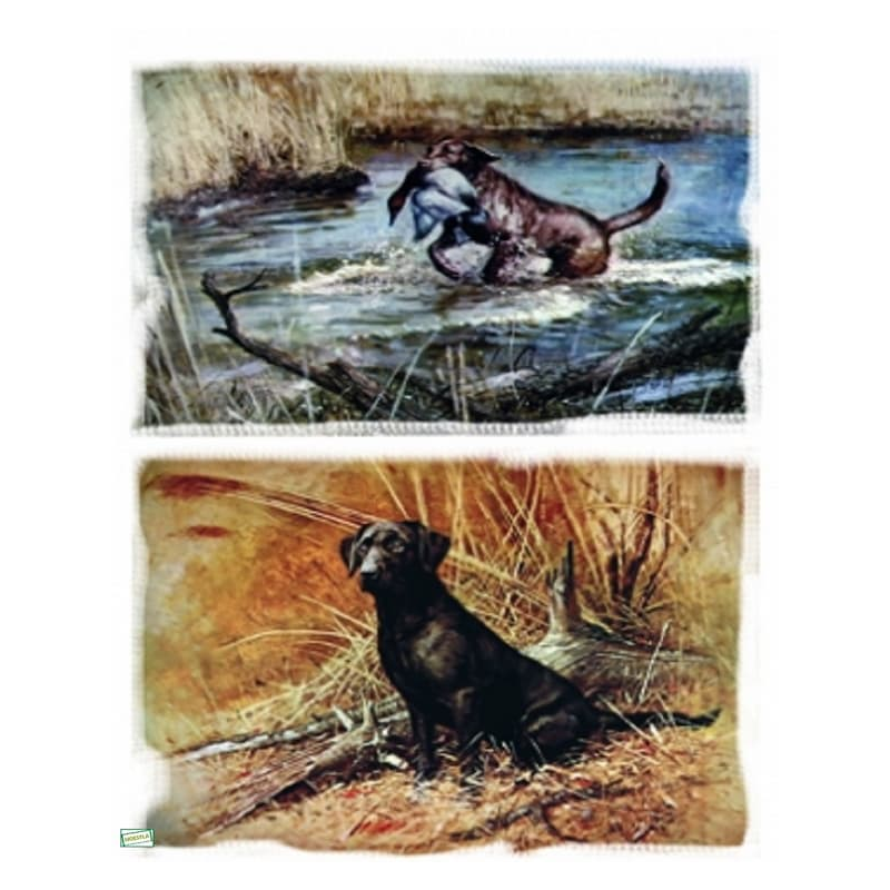 1papier riz Chiens-ZV175G