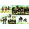 1 papier de riz Chevaux -R1217