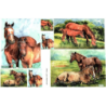 1 papier de riz Chevaux -R1219