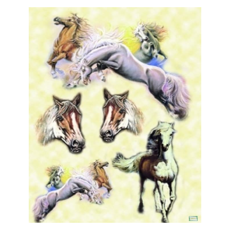 1papier riz Chevaux-ZAN75G