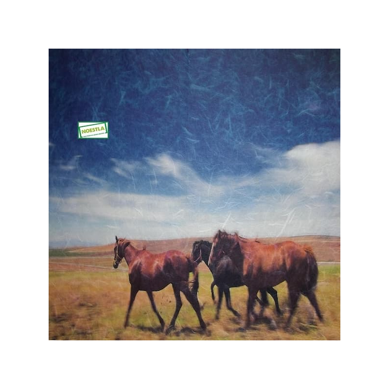 1papier riz Chevaux-ZZZ2