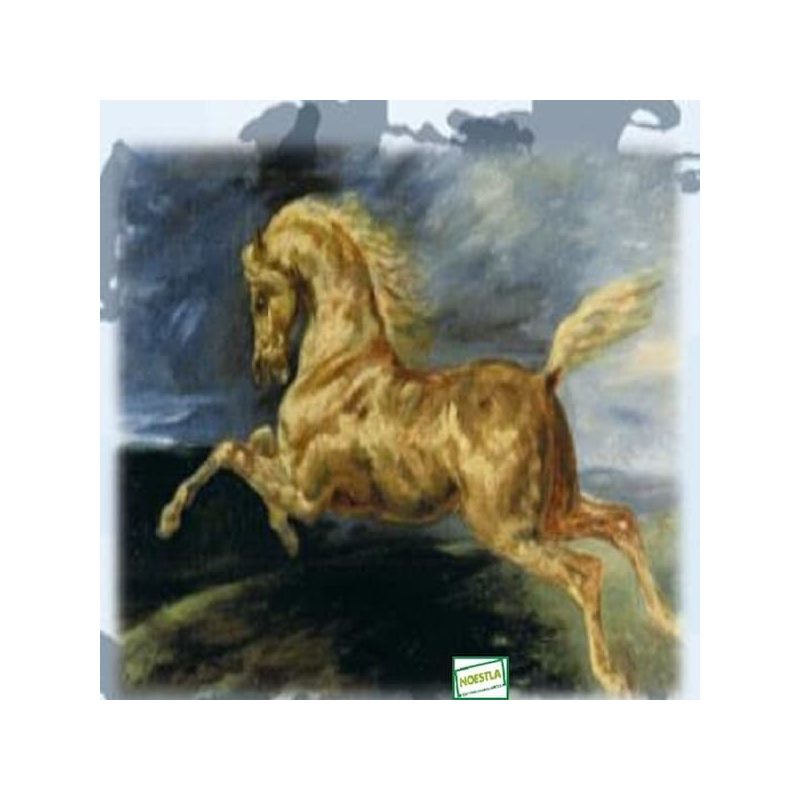 1 papier de riz Chevaux -ZZZ4