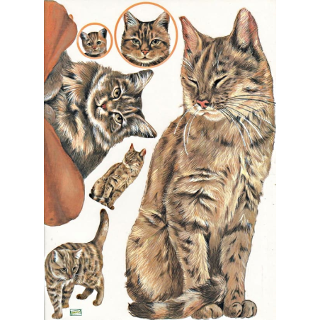 1papier découpage Chats -D0