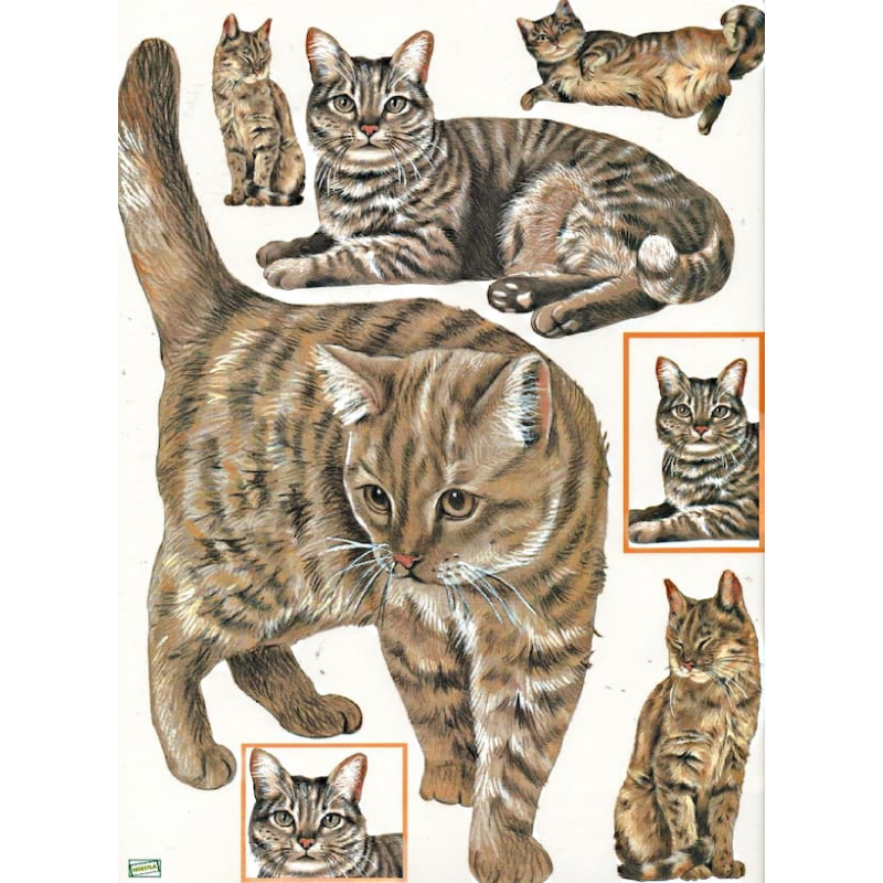 1papier à découper Chats -D1