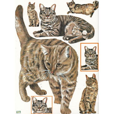 1papier à découper Chats -D1