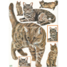 1papier à découper Chats -D1