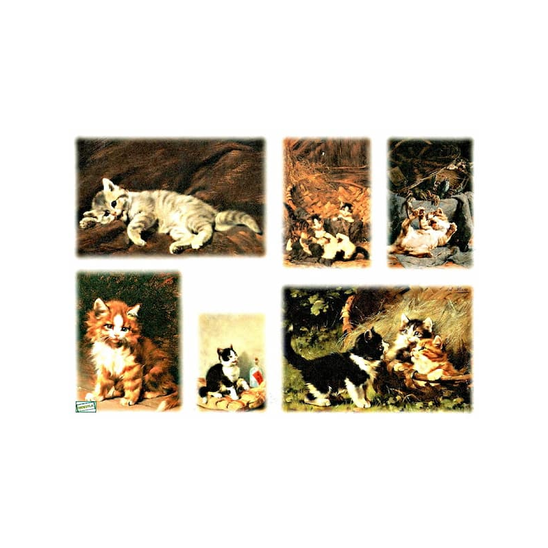 Papier à découper Chats -D288