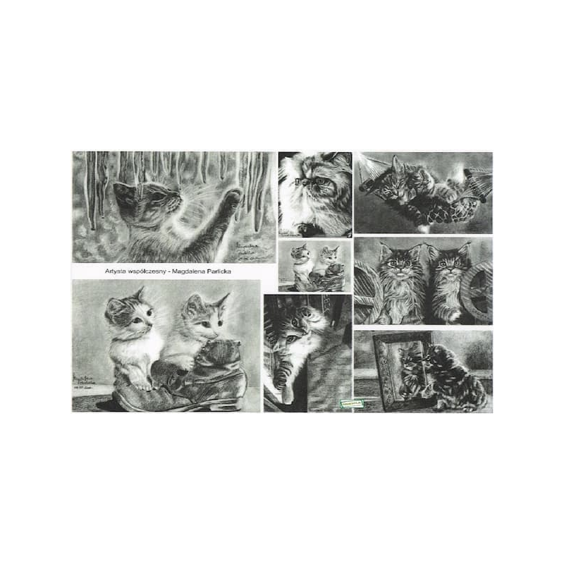 1Papier de découpage Chats -D451