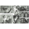 1papier à découper Chats-D451